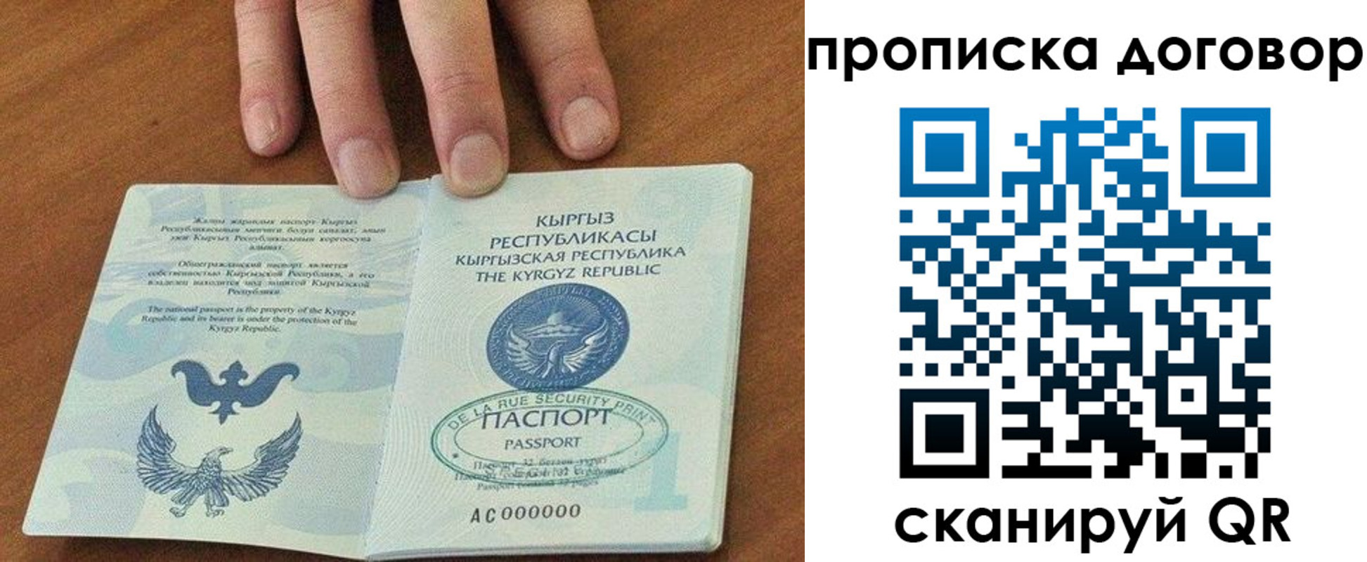 прописка от собственника в Химках